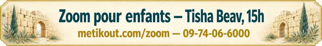 Bannière du Zoom de Ticha Beav
